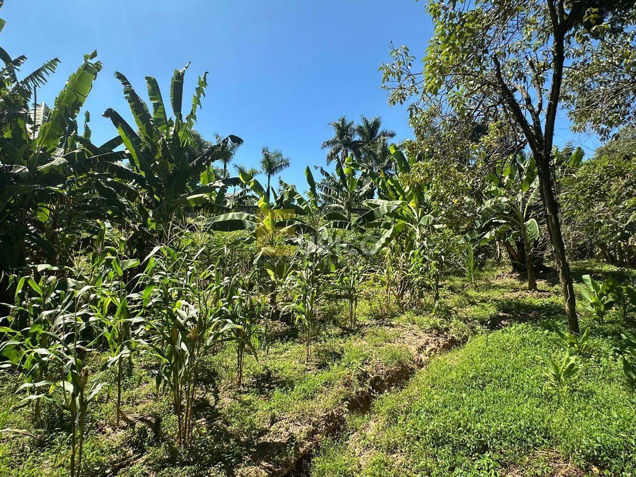 Terreno à venda no Parque Valinhos em Valinhos/SP: