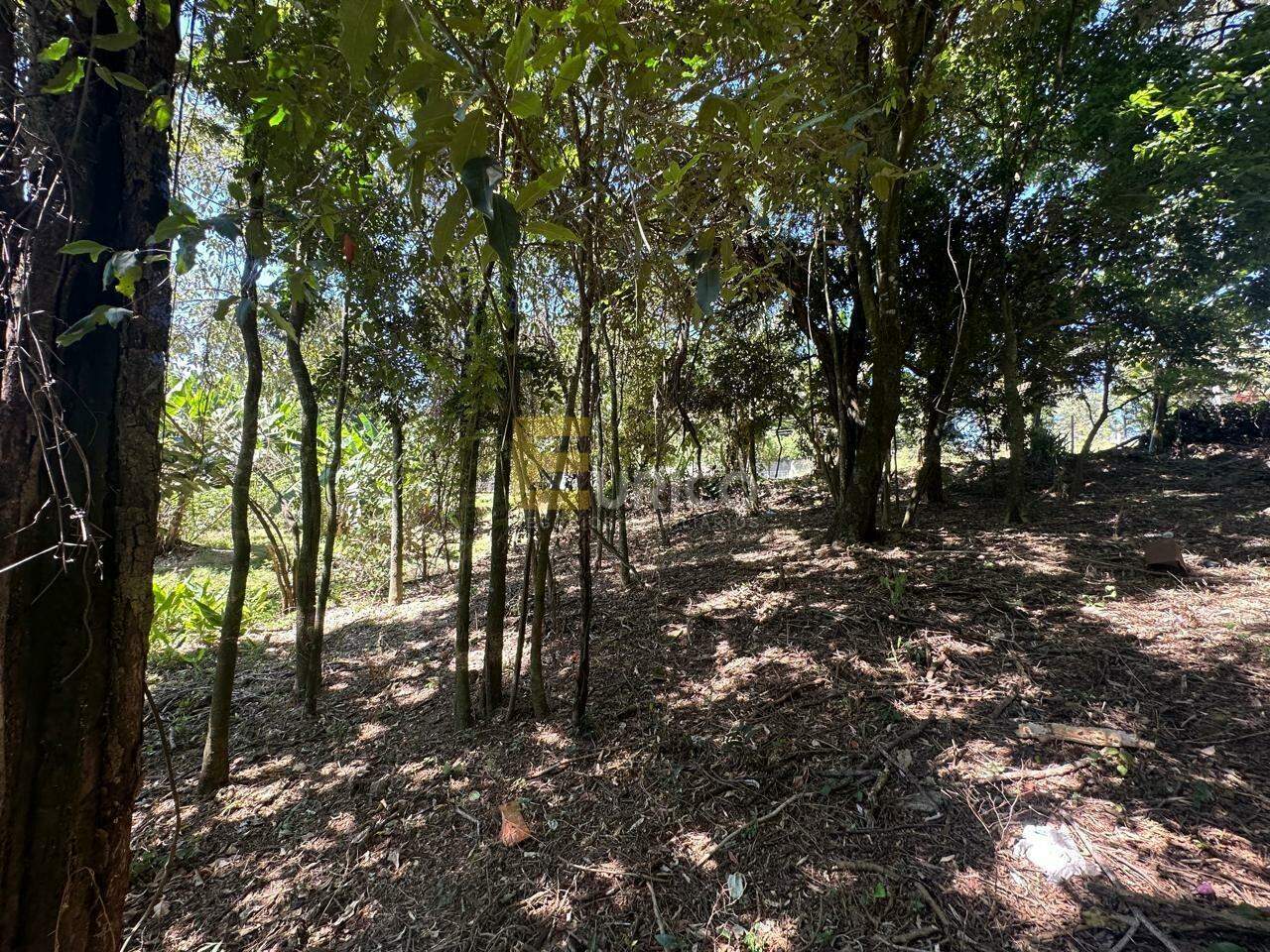 Terreno à venda no Parque Valinhos em Valinhos/SP: