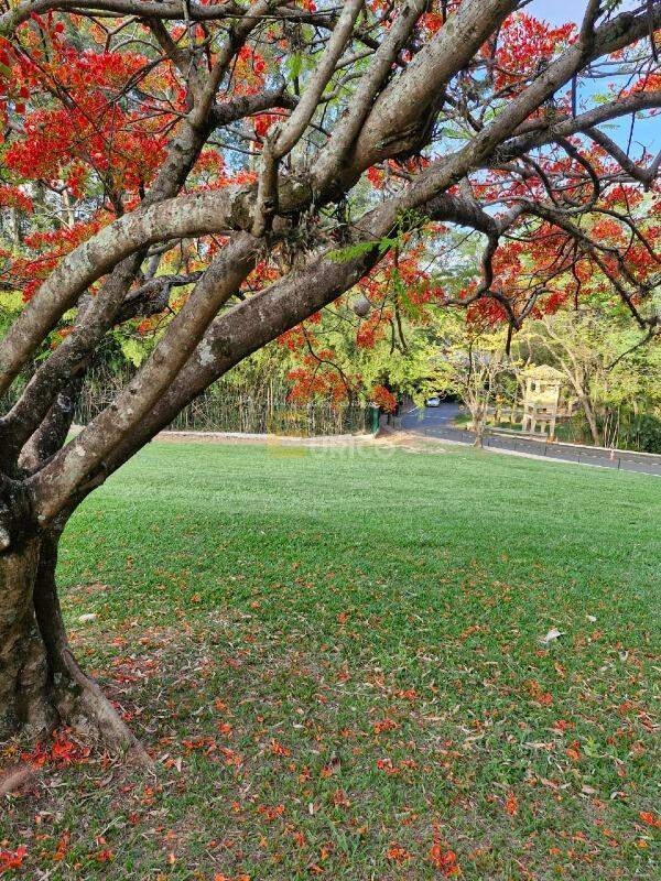 Terreno em Condomínio à venda no Condomínio Terras de Santa Teresa em Itupeva/SP: 