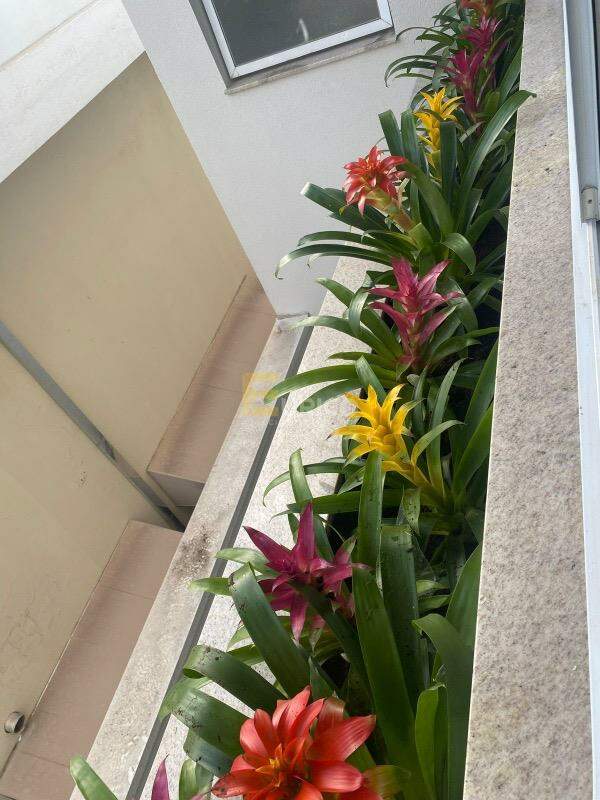 Casa em condomínio à venda no Condomínio Baden - Swiss Park em Campinas/SP: 