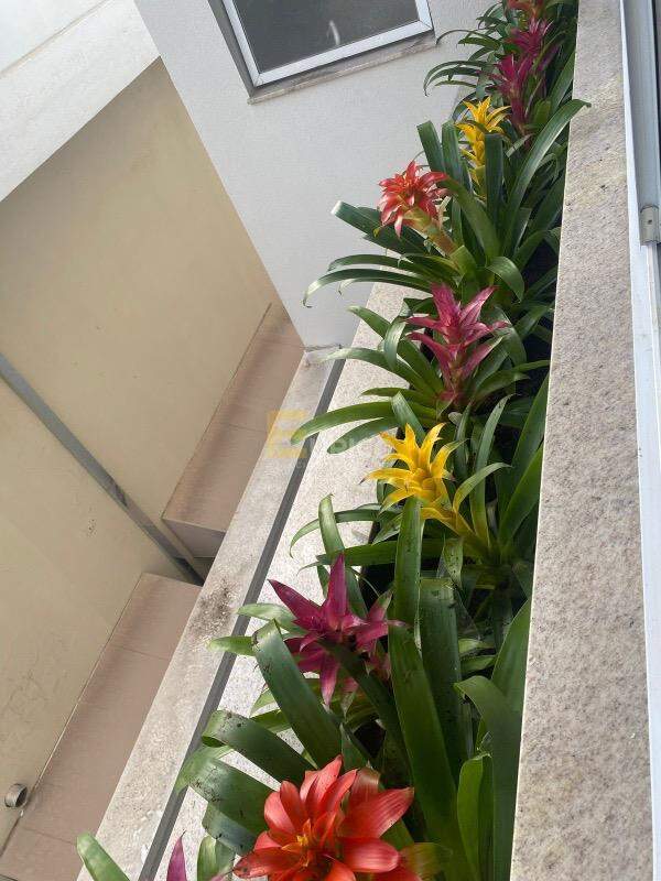 Casa em condomínio à venda no Condomínio Baden - Swiss Park em Campinas/SP: 