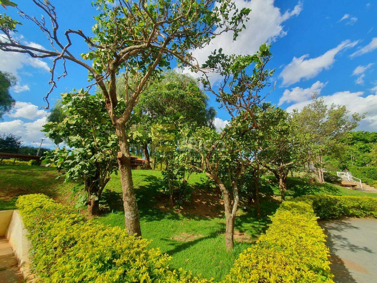 Apartamento para aluguel no Condomínio Residencial Maison Renoir em Campinas/SP:
