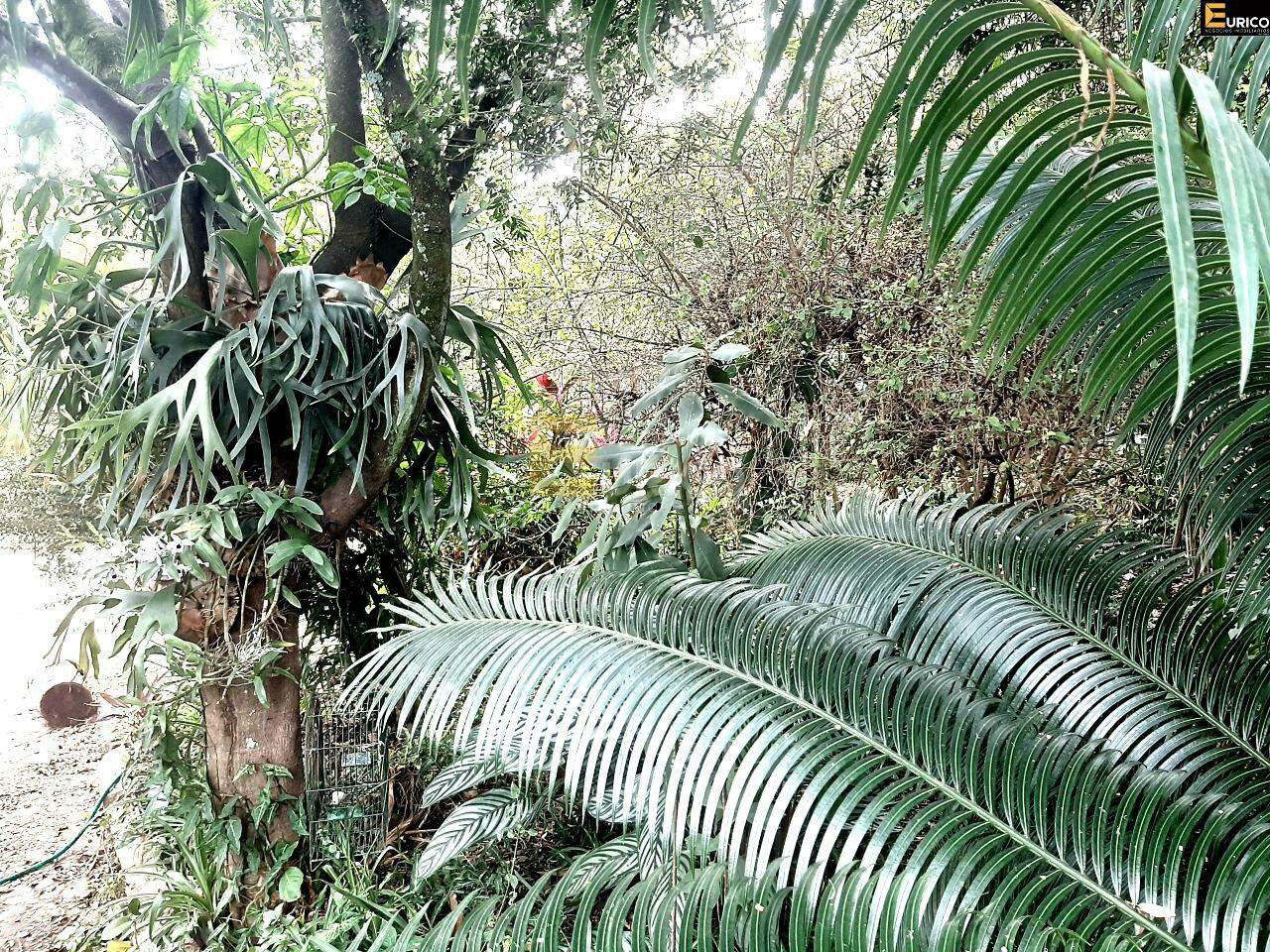 Terreno à venda no Nova Vinhedo em Vinhedo/SP: 