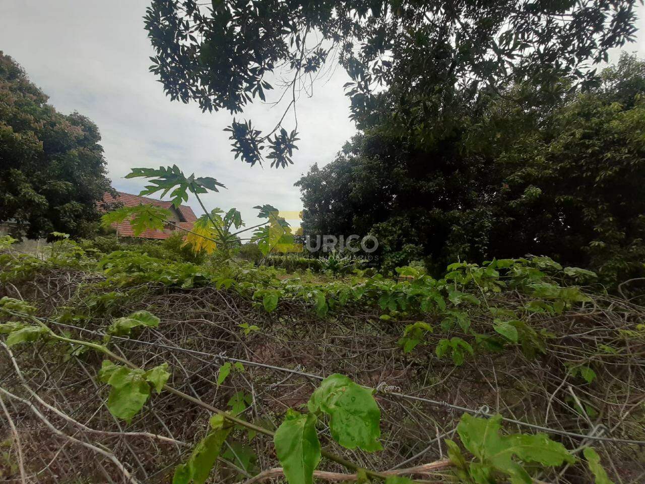Terreno à venda no Pinheirinho em Vinhedo/SP: 