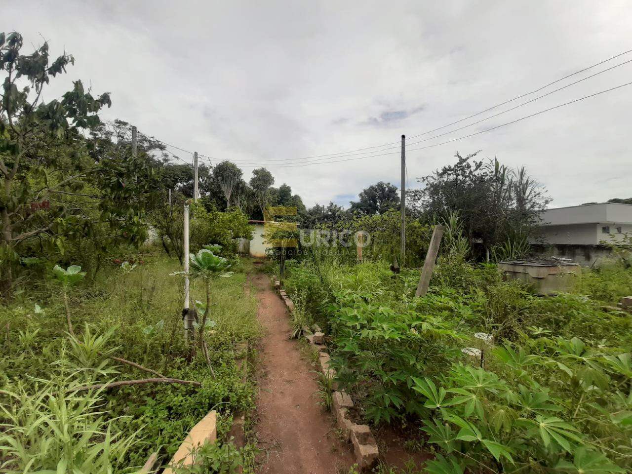 Terreno à venda no Pinheirinho em Vinhedo/SP: 