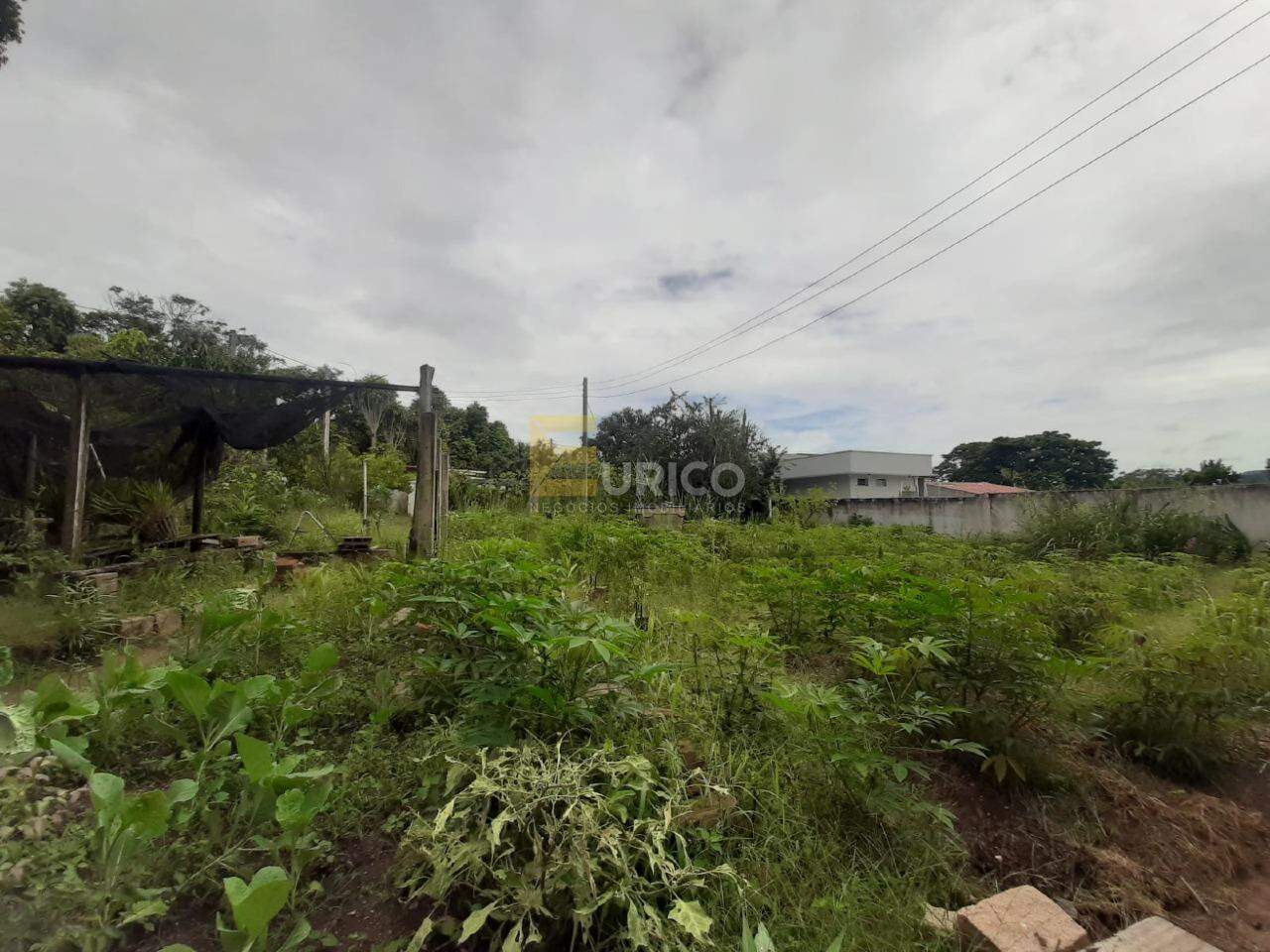 Terreno à venda no Pinheirinho em Vinhedo/SP: 