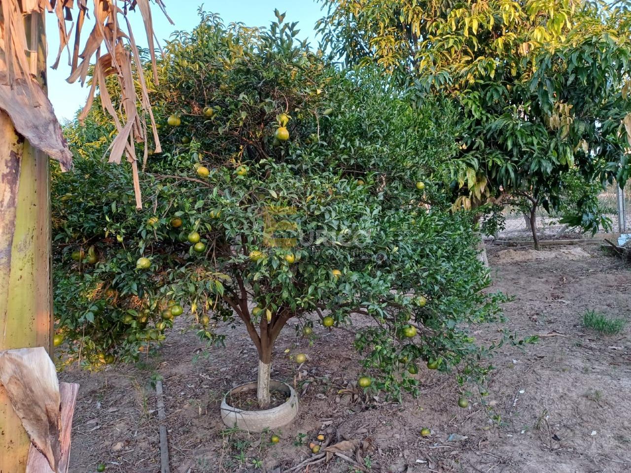 Chácara em Monte Mor/São Paulo — Ref 7TB4HA — Imagem 28