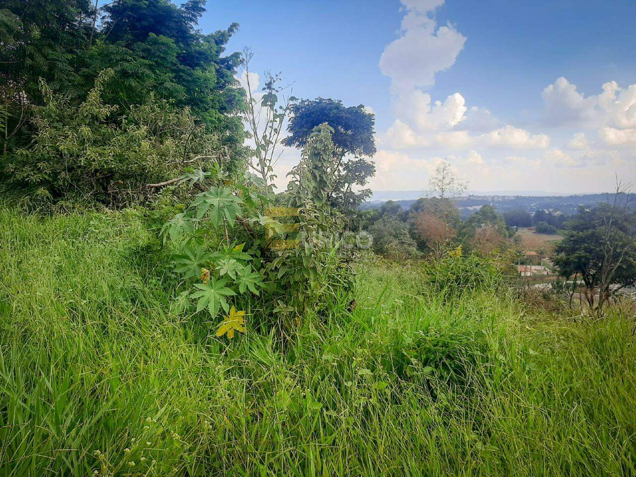 Área à venda no Bosque em Vinhedo/SP: 