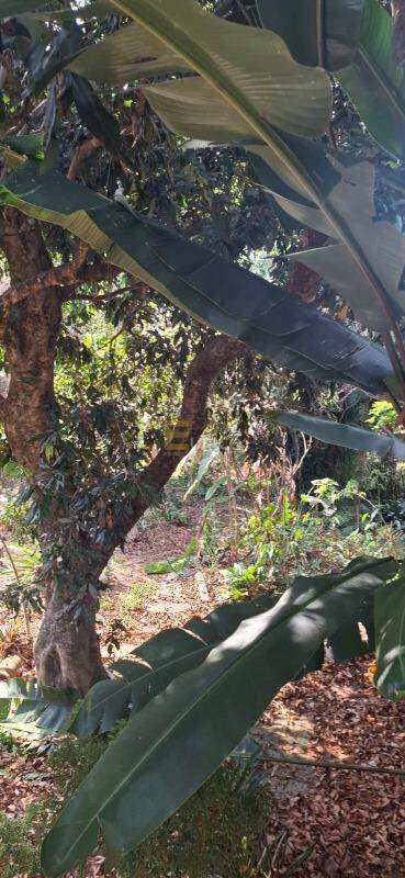 Chácara à venda no Apaga Fogo em Valinhos/SP: 
