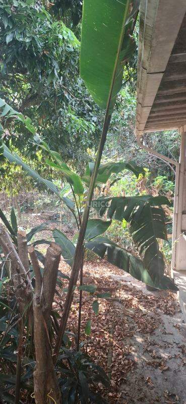 Chácara à venda no Apaga Fogo em Valinhos/SP: 
