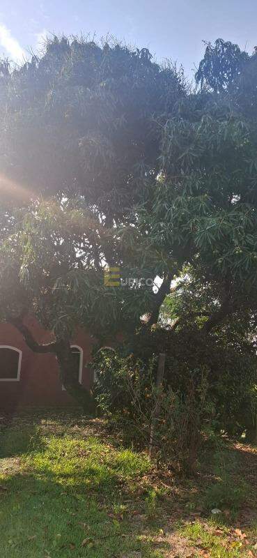 Chácara à venda no Apaga Fogo em Valinhos/SP: 
