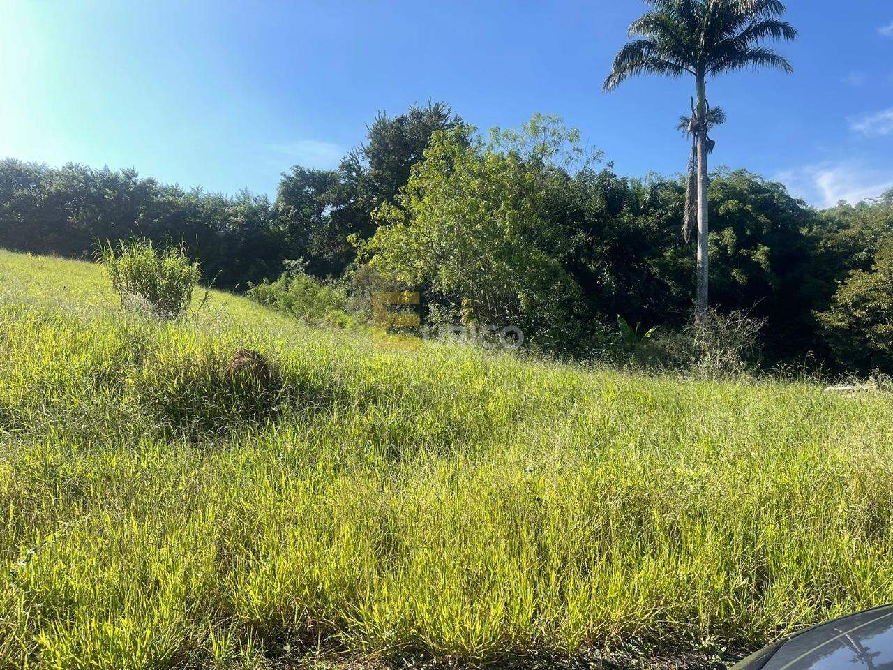 Terreno à venda no Jardim Primavera em Louveira/SP: 
