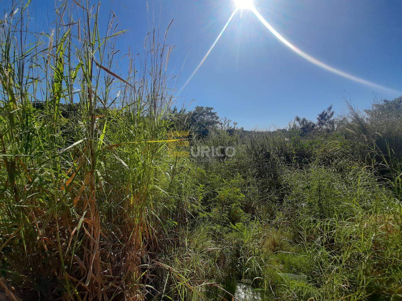 Área à venda no Capela em Vinhedo/SP: 