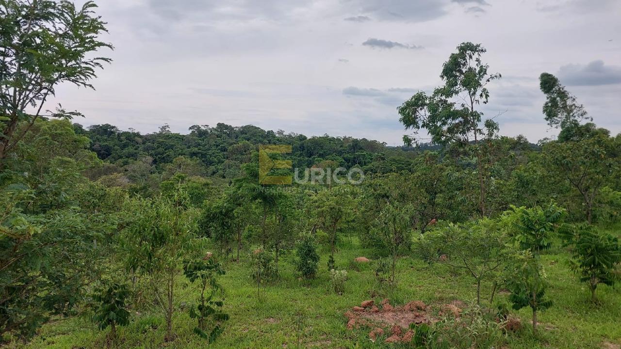Área à venda no Bairro do Leitão em Louveira/SP: 
