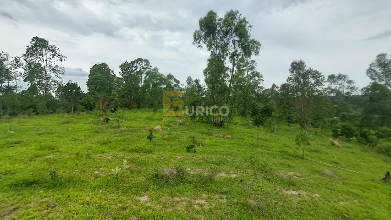 Área à venda no Bairro do Leitão em Louveira/SP: 