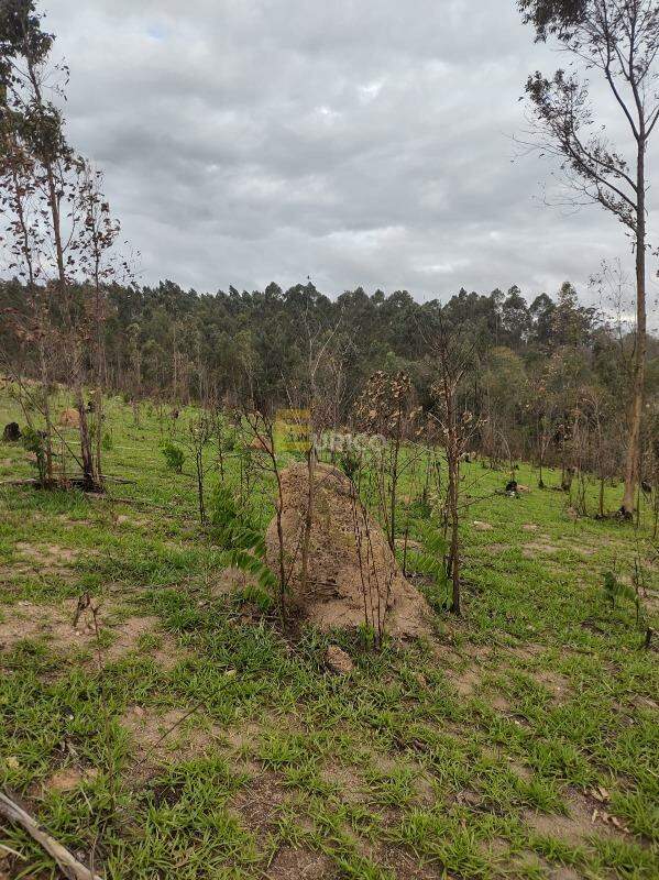 Área à venda no Leitão em Louveira/SP: 