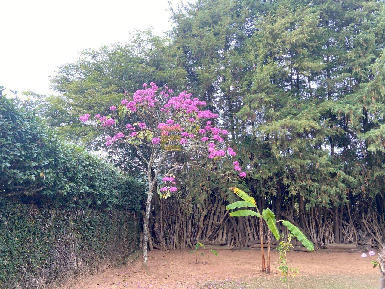 Casa à venda no Jardim Panorama em Vinhedo/SP: 