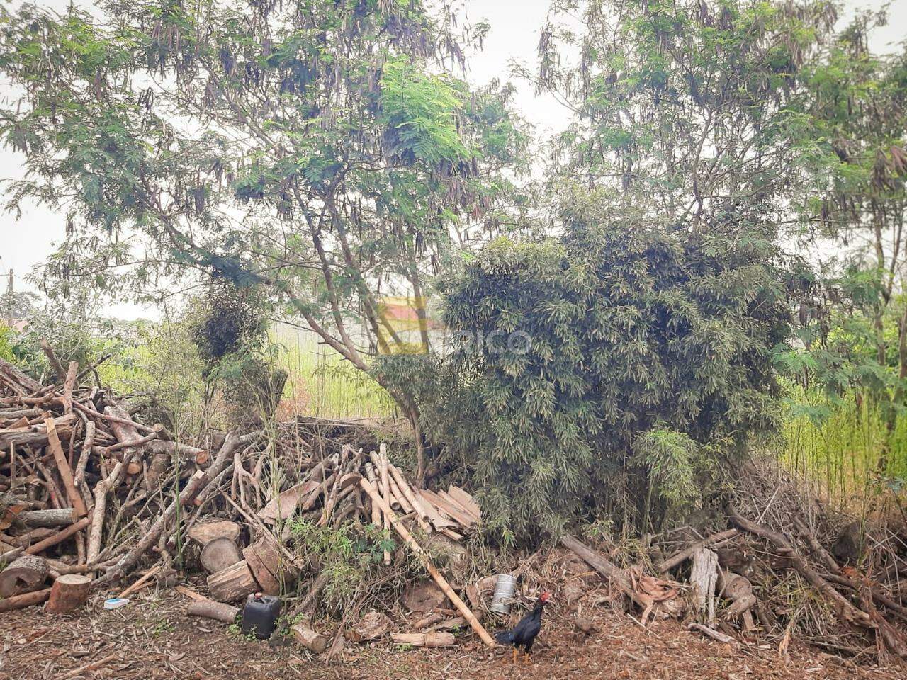 Terreno à venda no Marambaia em Vinhedo/SP: 