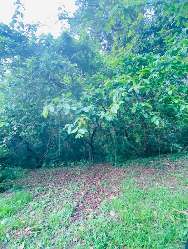 Terreno à venda no Vista Alegre em Vinhedo/SP: 