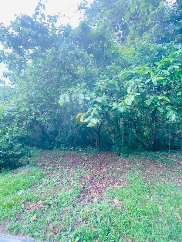 Terreno à venda no Vista Alegre em Vinhedo/SP: 