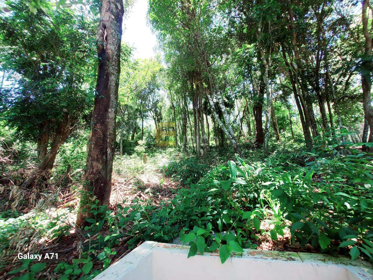 Casa à venda no JARDIM NOVA AMÉRICA em Louveira/SP: 