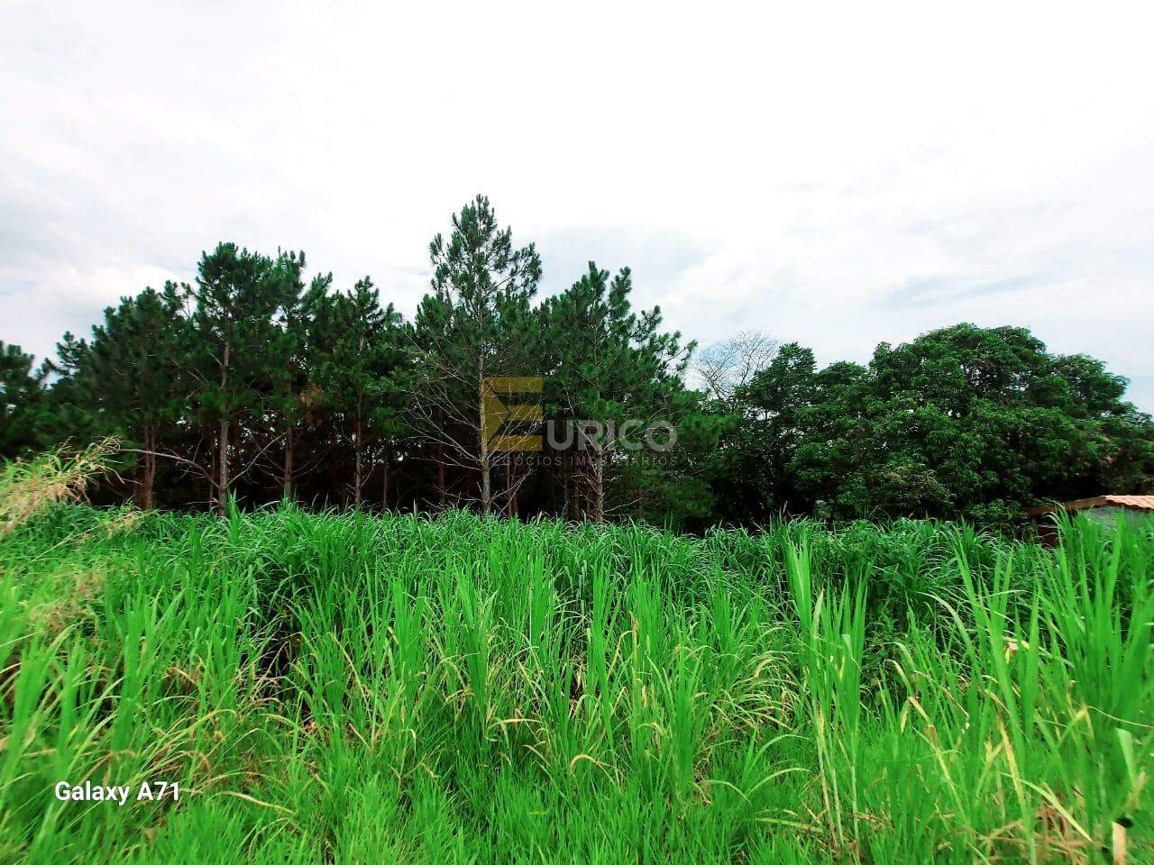 Terreno à venda no Colina de San Diego em Vinhedo/SP: 