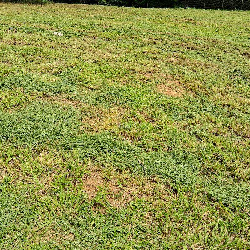 Terreno em Condomínio à venda no Condomínio Santa Isabel em Louveira/SP: 