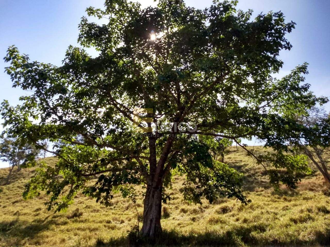 Fazenda à venda no Área Rural em Ilicínea/MG: 