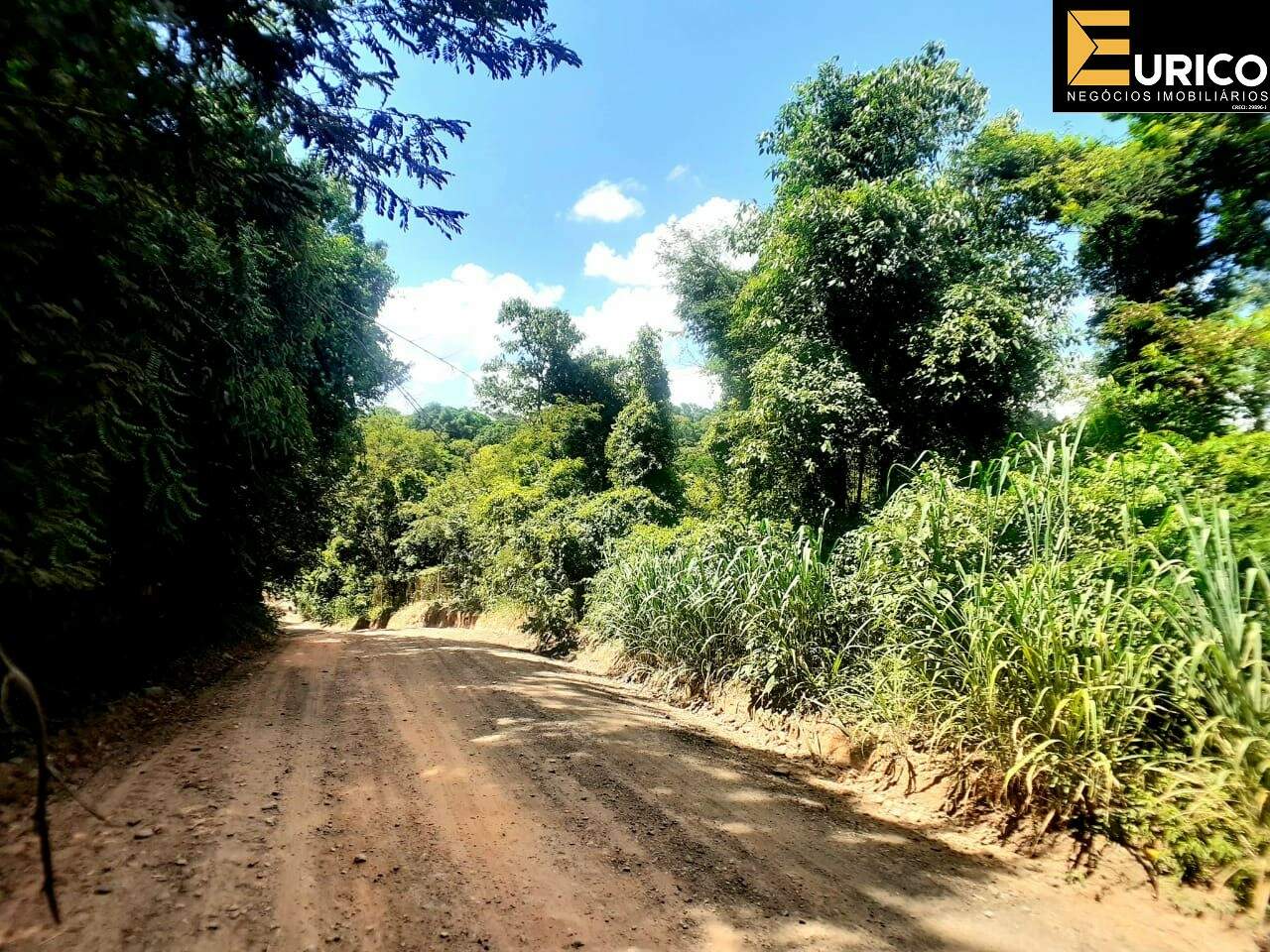 Terreno à venda no Chácara São Bento em Vinhedo/SP: Foto 05