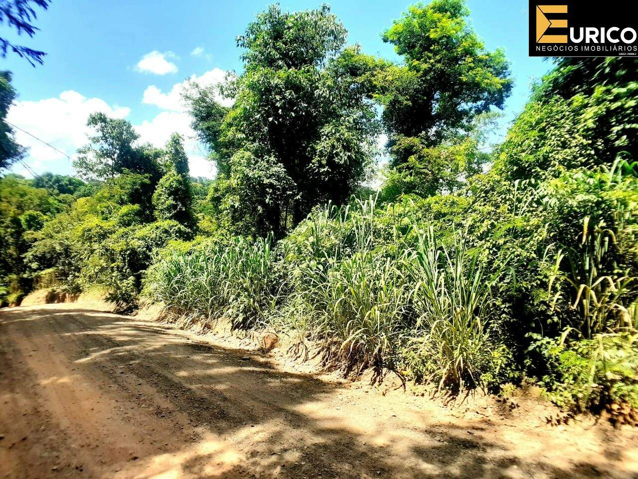 Terreno à venda no Chácara São Bento em Vinhedo/SP: Foto 06