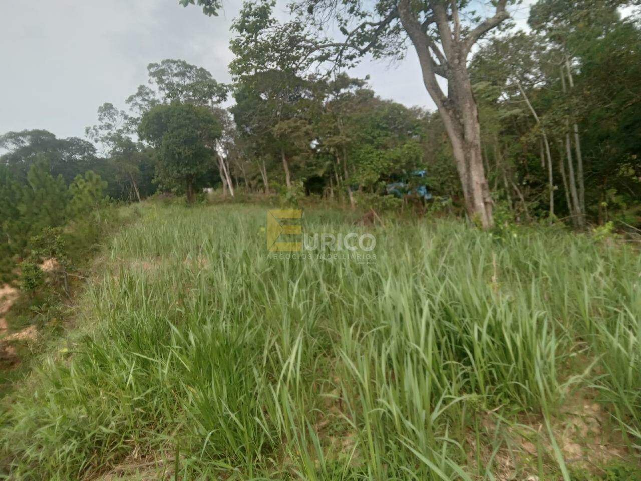 Terreno à venda no Parque Jandaia II em GUARULHOS/SP: 