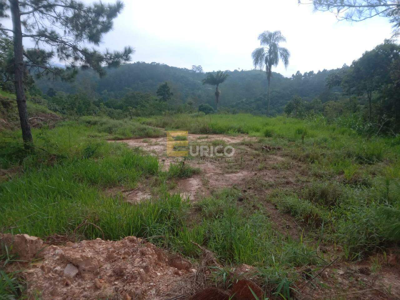 Terreno à venda no Parque Jandaia II em GUARULHOS/SP: 