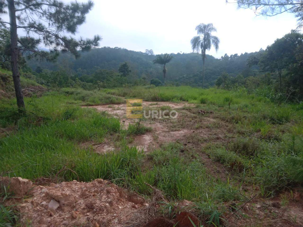 Terreno à venda no Parque Jandaia II em GUARULHOS/SP: 