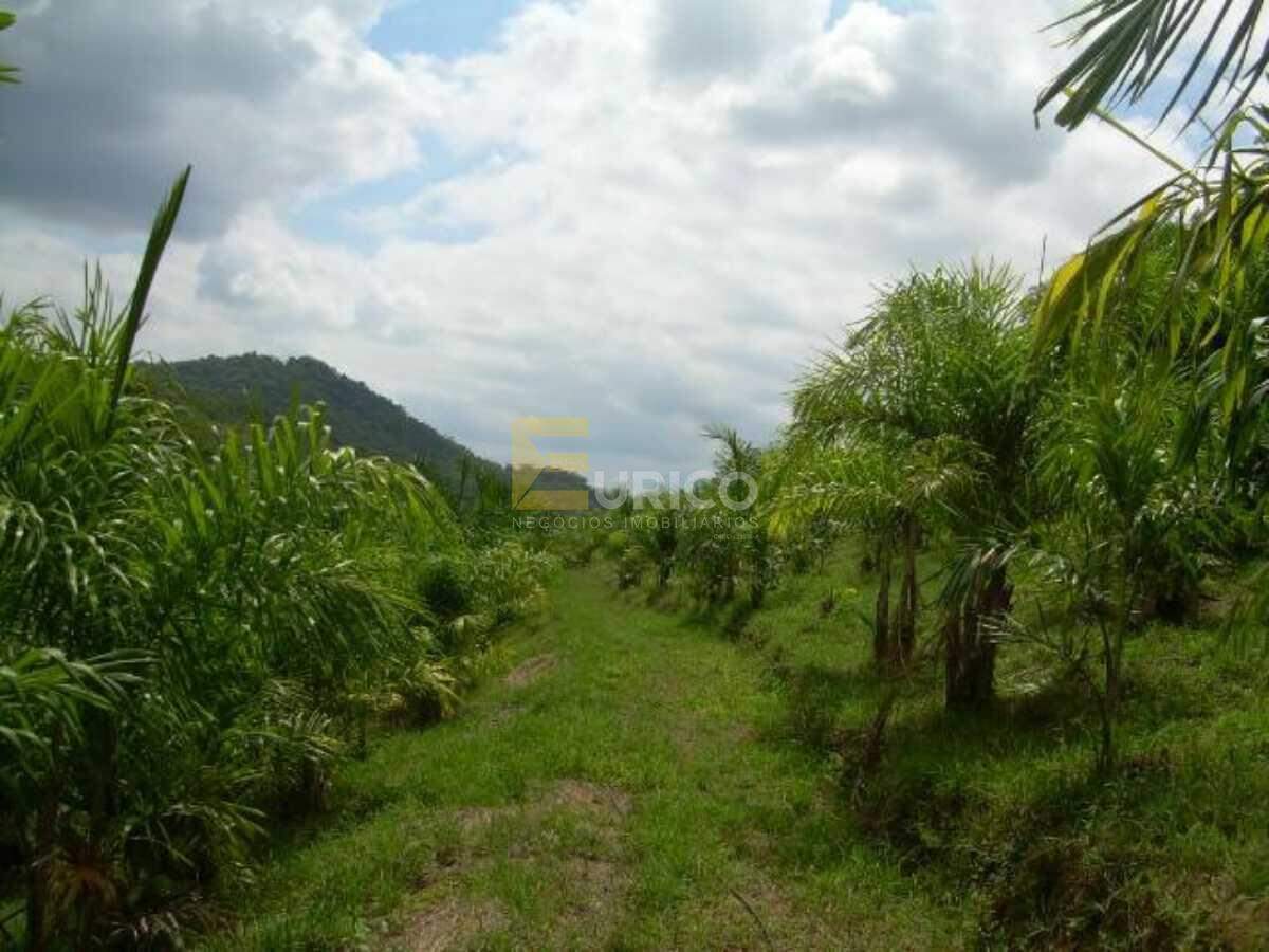Área à venda no Parque Santa Rosa em SUZANO/SP: 