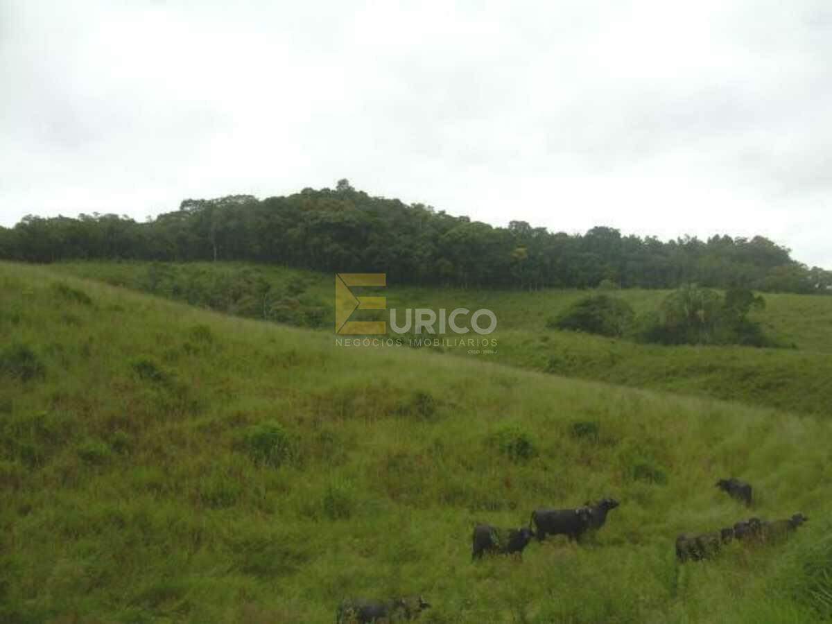 Área à venda no Parque Santa Rosa em SUZANO/SP: 