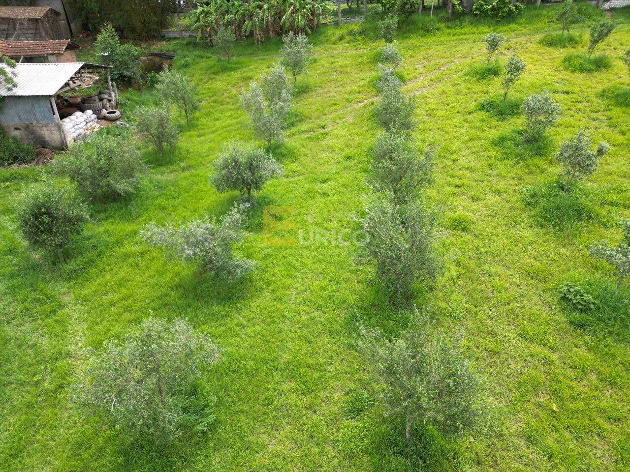 Fazenda à venda no Área Rural de Poços de Caldas em Poços de Caldas/MG: 