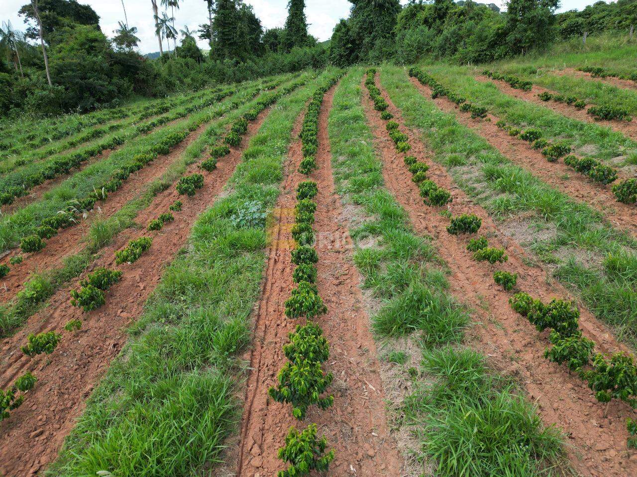 Sítio à venda no Cachoeira do Carmo em Botelhos/MG: 