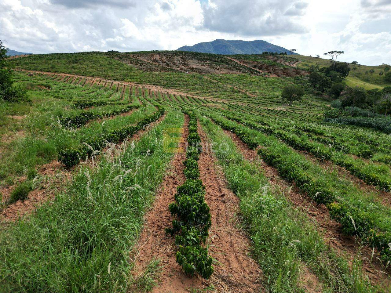 Sítio à venda no Cachoeira do Carmo em Botelhos/MG: 