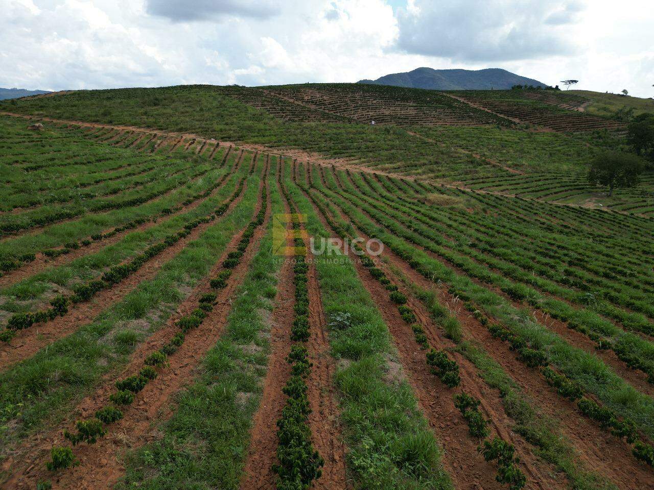 Sítio à venda no Cachoeira do Carmo em Botelhos/MG: 
