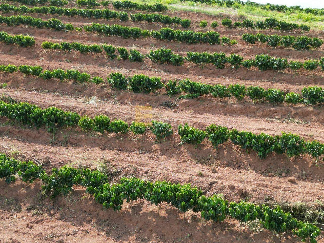 Sítio à venda no Cachoeira do Carmo em Botelhos/MG: 