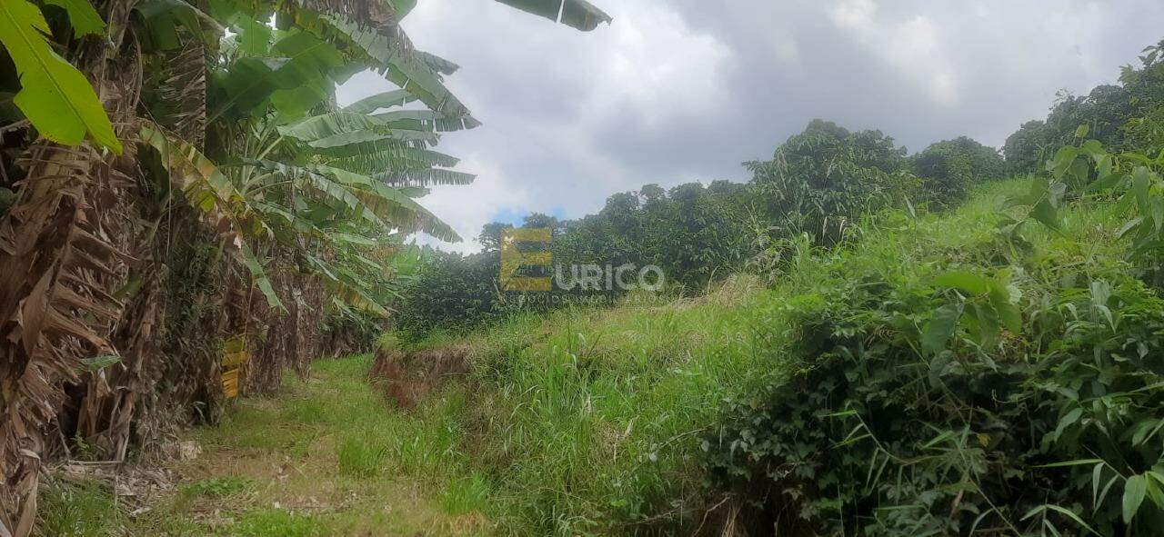 Sítio à venda no Área Rural de Guaxupé em Guaxupé/MG: 