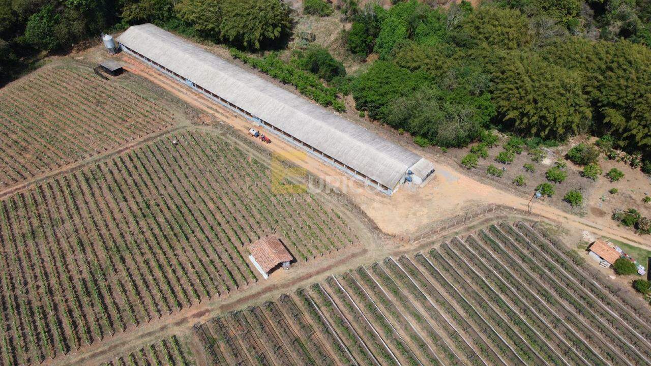 Sítio à venda no Bairro do Morro em Itatiba/SP: 