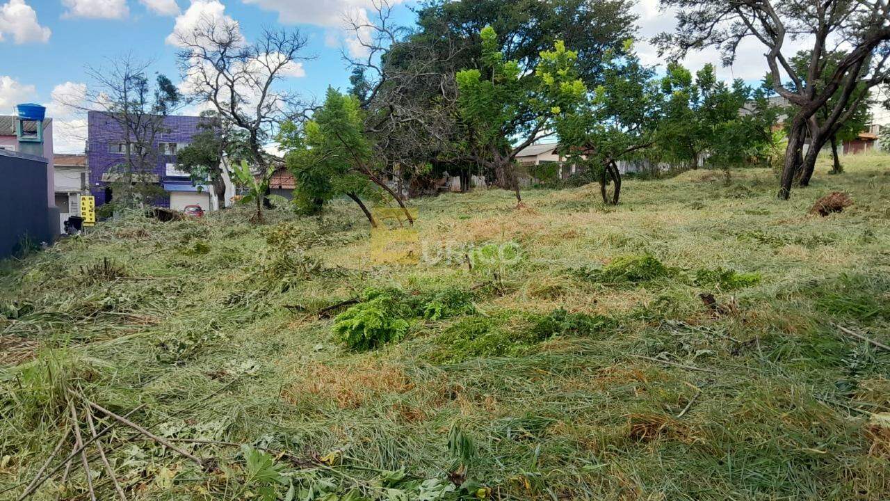 Terreno à venda no Nova Trieste Entrada Jarinu em Jarinu/SP: 