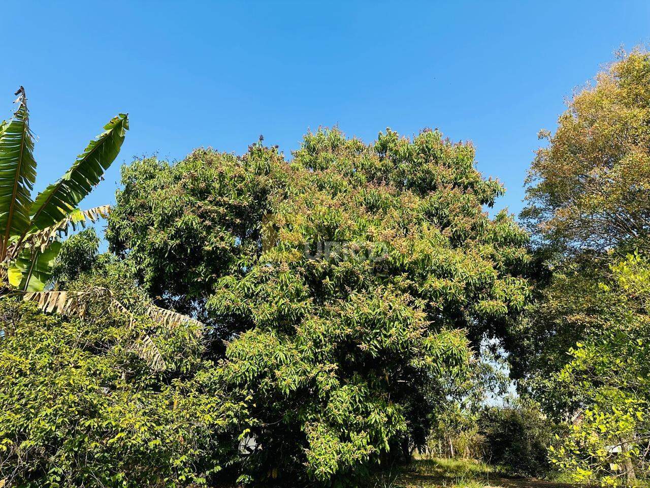 Terreno à venda no CHÁCARAS SÃO BENTO em Valinhos/SP: 