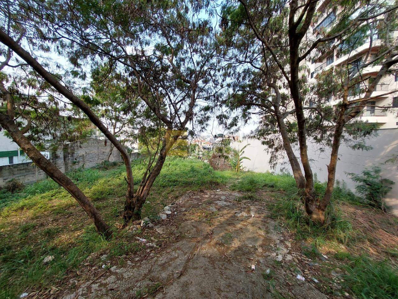 Área para aluguel no Anhangabaú em Jundiaí/SP: 