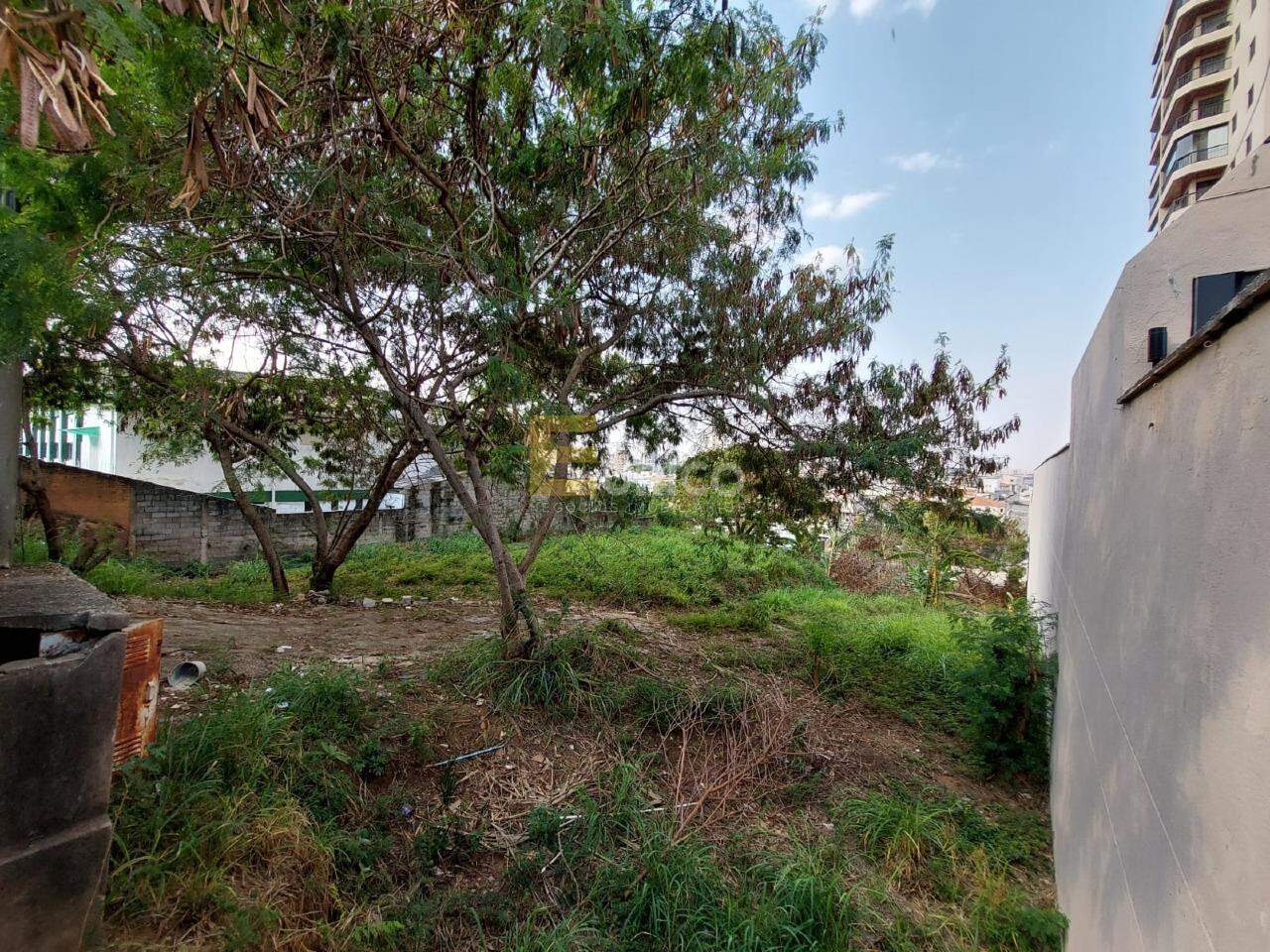 Área para aluguel no Anhangabaú em Jundiaí/SP: 