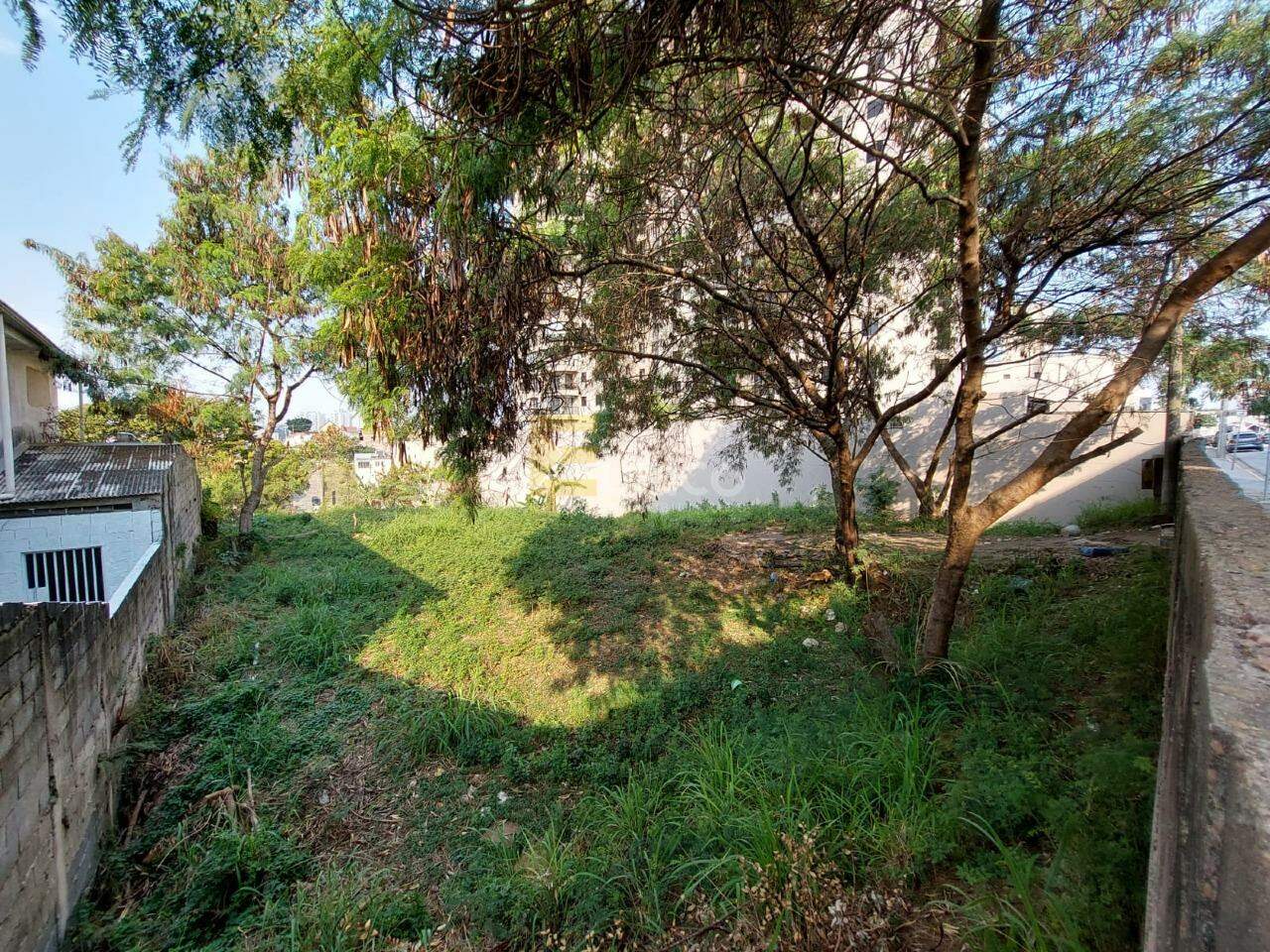 Área para aluguel no Anhangabaú em Jundiaí/SP: 