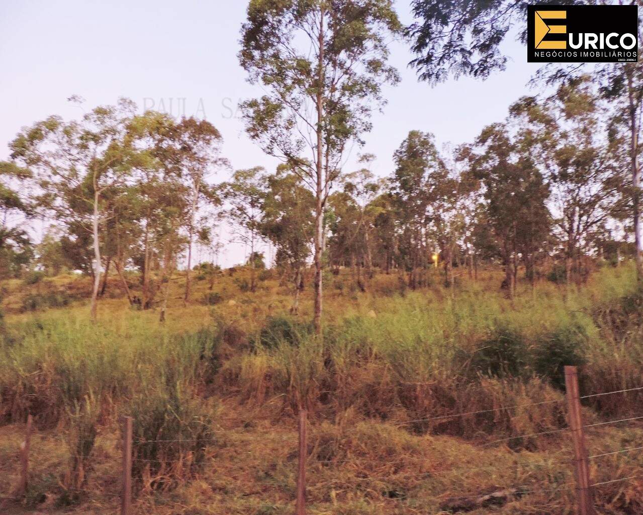 Área à venda no Monte Alegre em Vinhedo/SP: Foto 06