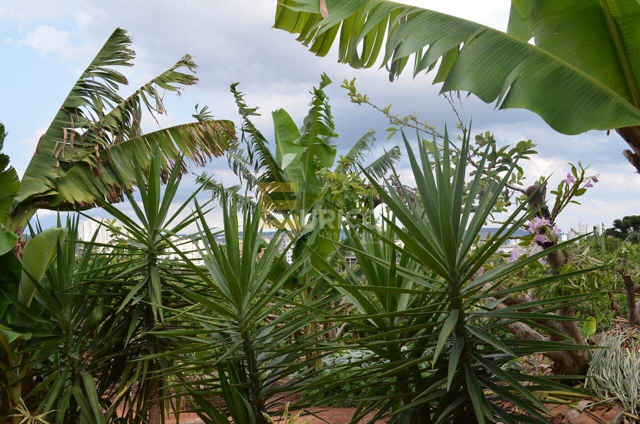 Chácara à venda no VILA FAUSTINA II em Valinhos/SP: 
