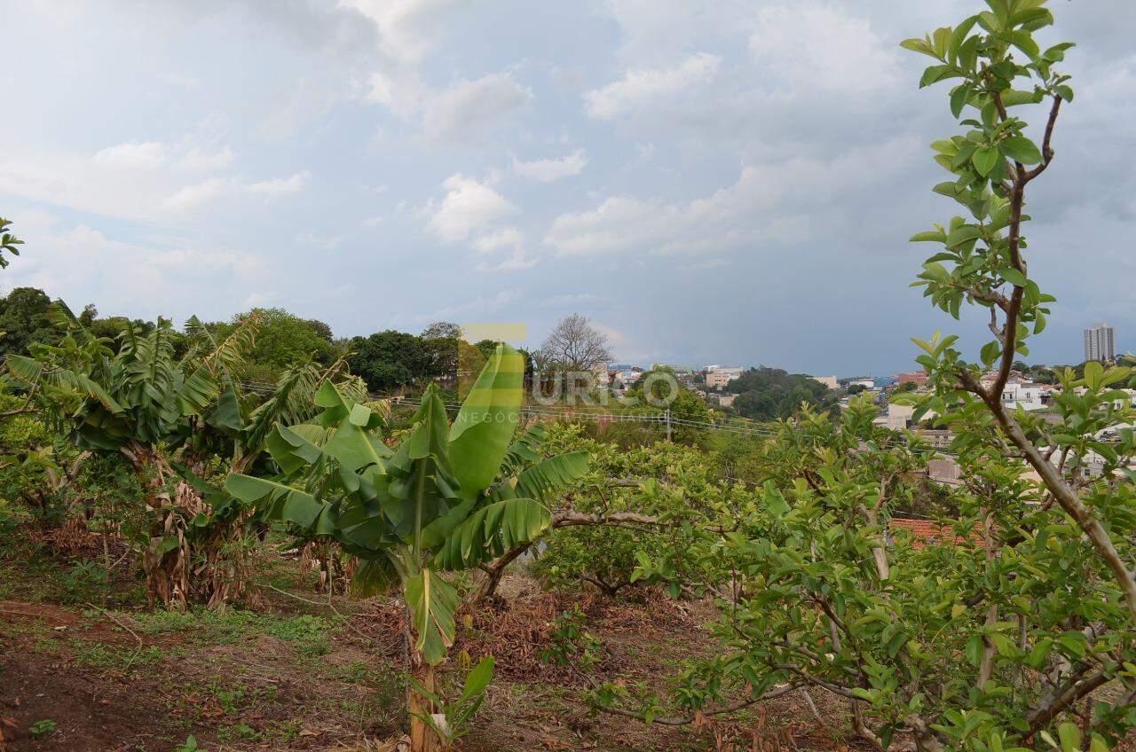 Chácara à venda no VILA FAUSTINA II em Valinhos/SP: 